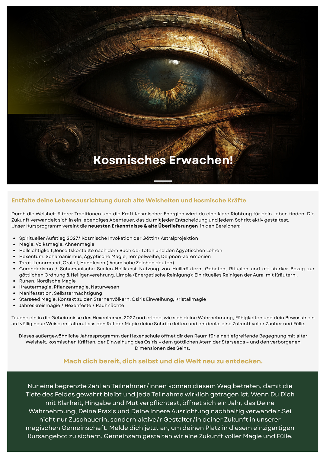 Hexen - Meisterinnen Jahreskurs 2027 * 22 Zoom Live Kurse im Zirkel*