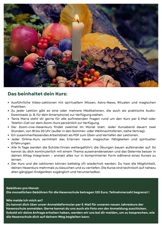 Hexen - Meisterinnen Jahreskurs 2026 * 22 Zoom Live Kurse im Circle*