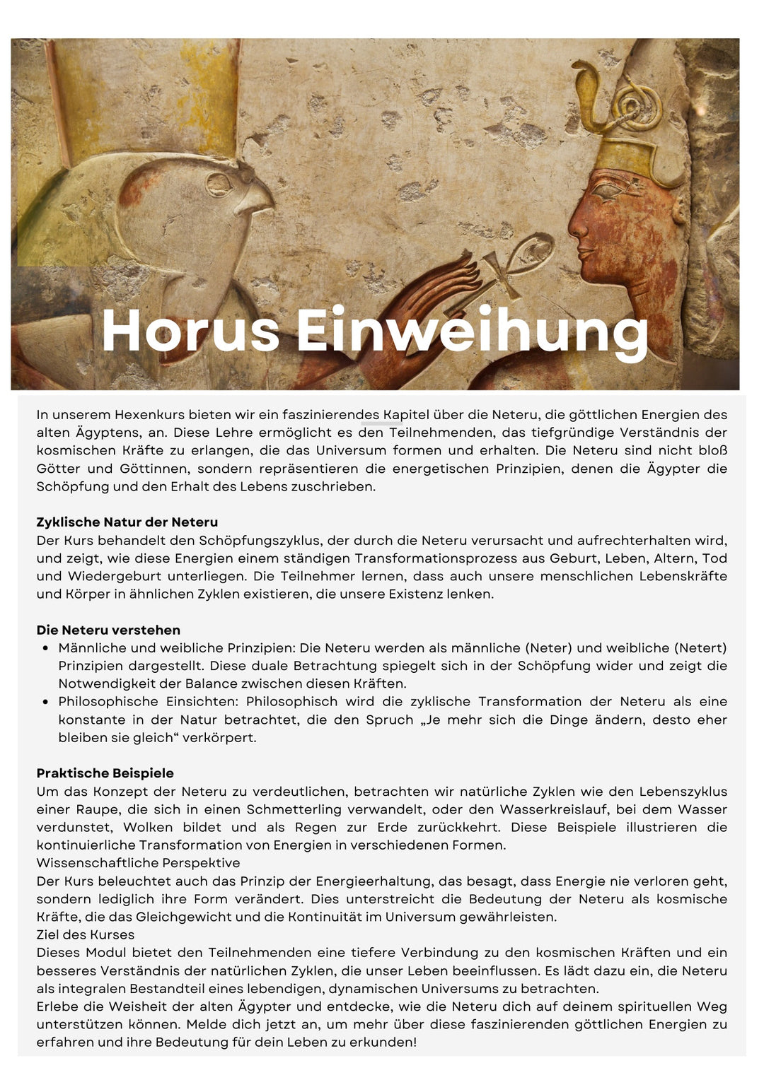 Hexen - Meisterinnen Jahreskurs 2026 * 22 Zoom Live Kurse im Circle*